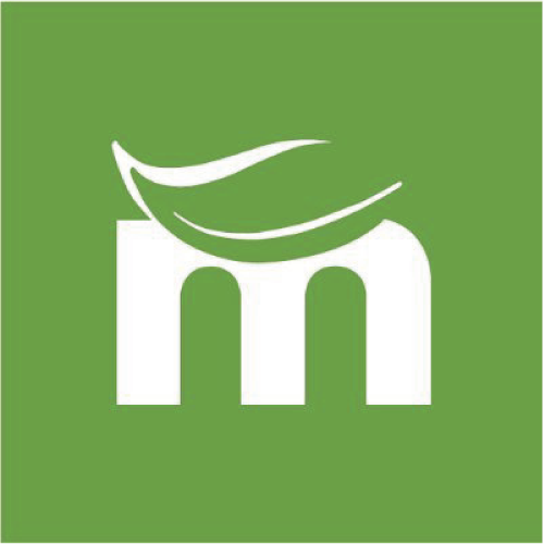 Proyecto de publicidad visual para masgas